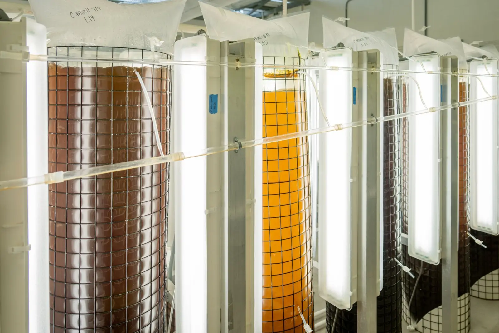 生物技术驱动的功能性护肤品研发趋势与市场应用分析正文配图 1
